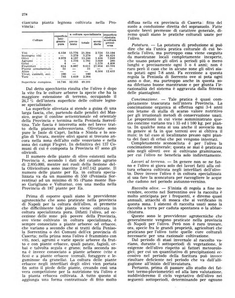 L'olivicoltore bollettino settimanale della Società nazionale degli olivicoltori