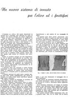 giornale/RML0024085/1941/unico/00000417