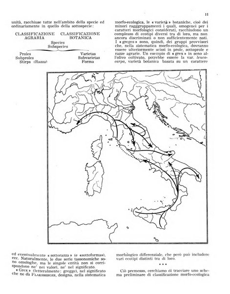 L'olivicoltore bollettino settimanale della Società nazionale degli olivicoltori