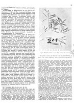 giornale/RML0024085/1942/unico/00000123