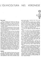 giornale/RML0024085/1942/unico/00000203