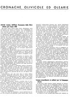 giornale/RML0024085/1942/unico/00000272