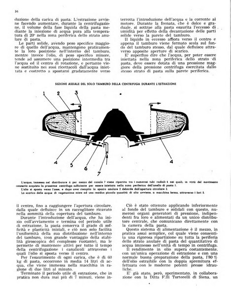 L'olivicoltore bollettino settimanale della Società nazionale degli olivicoltori