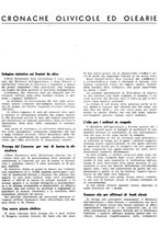 giornale/RML0024085/1943-1944/unico/00000117