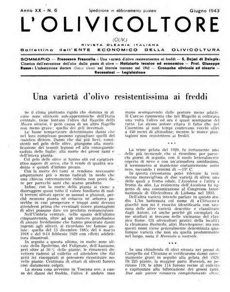 L'olivicoltore bollettino settimanale della Società nazionale degli olivicoltori