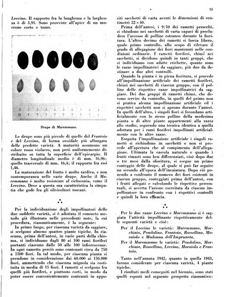 L'olivicoltore bollettino settimanale della Società nazionale degli olivicoltori