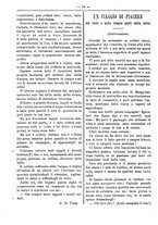 giornale/RML0024108/1888/unico/00000226