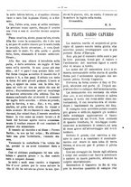 giornale/RML0024108/1888/unico/00000269