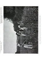 giornale/RML0024251/1914/v.3/00000041