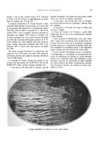 giornale/RML0024265/1930/unico/00000119