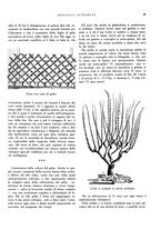 giornale/RML0024265/1930/unico/00000129