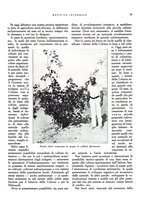 giornale/RML0024265/1930/unico/00000217