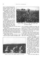 giornale/RML0024265/1930/unico/00000282