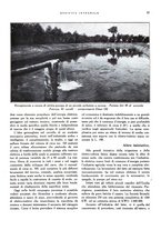 giornale/RML0024265/1930/unico/00000343