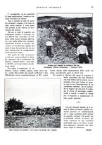 giornale/RML0024265/1931/unico/00000115