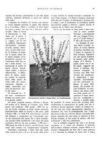 giornale/RML0024265/1931/unico/00000121