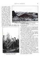 giornale/RML0024265/1931/unico/00000123