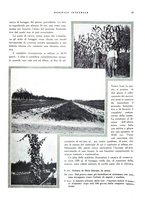 giornale/RML0024265/1931/unico/00000125