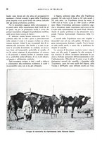 giornale/RML0024265/1931/unico/00000190