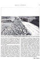 giornale/RML0024265/1931/unico/00000251