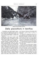 giornale/RML0024265/1931/unico/00000259