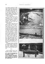 giornale/RML0024265/1931/unico/00000260