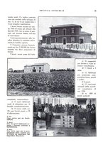 giornale/RML0024265/1931/unico/00000287