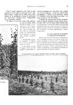 giornale/RML0024265/1931/unico/00000331