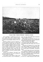 giornale/RML0024265/1931/unico/00000503