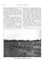 giornale/RML0024265/1931/unico/00000504