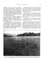 giornale/RML0024265/1931/unico/00000573