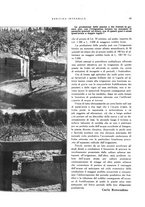 giornale/RML0024265/1931/unico/00000731