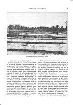 giornale/RML0024265/1931/unico/00000797
