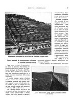 giornale/RML0024265/1932/unico/00000035