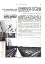 giornale/RML0024265/1932/unico/00000145