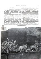 giornale/RML0024265/1932/unico/00000273