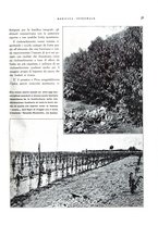 giornale/RML0024265/1932/unico/00000281