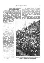 giornale/RML0024265/1932/unico/00000283