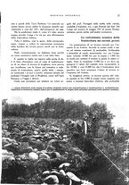 giornale/RML0024265/1932/unico/00000353