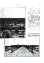 giornale/RML0024265/1932/unico/00000357