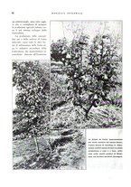 giornale/RML0024265/1932/unico/00000358