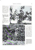 giornale/RML0024265/1932/unico/00000359