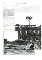 giornale/RML0024265/1933/unico/00000024