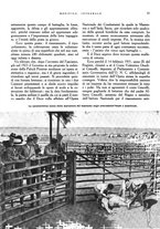 giornale/RML0024265/1933/unico/00000133