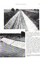 giornale/RML0024265/1933/unico/00000269