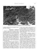 giornale/RML0024265/1933/unico/00000281