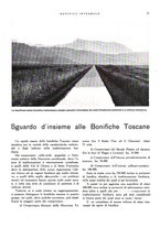 giornale/RML0024265/1933/unico/00000347