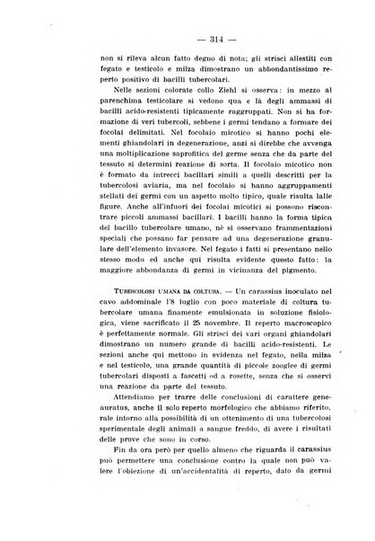 Tubercolosi giornale di studi e di lotta antitubercolare