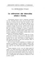 giornale/RML0024275/1910-1911/unico/00000063