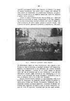 giornale/RML0024275/1913-1914/unico/00000272